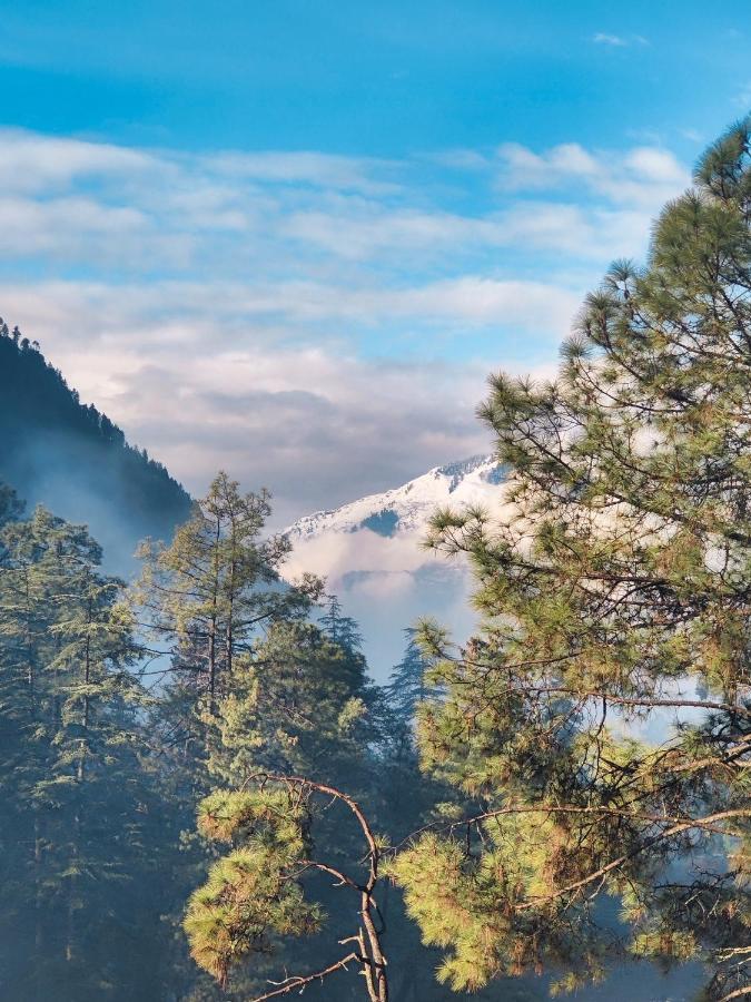 Free Culture, Chalal Bed & Breakfast Kasol Dış mekan fotoğraf